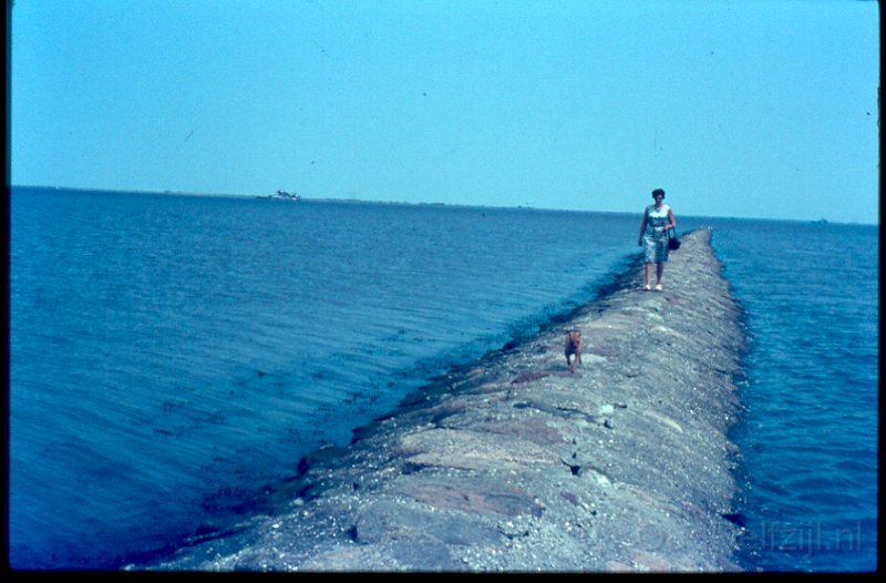 29-.bmp
